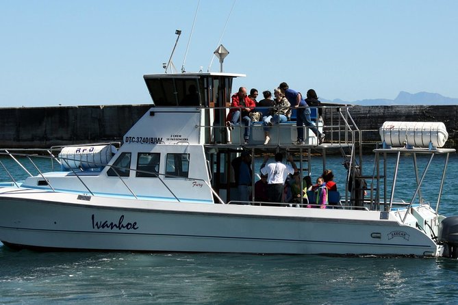 Whale Watching from Gansbaai - More than whales: dolphins, seals, sharks, and penguins
