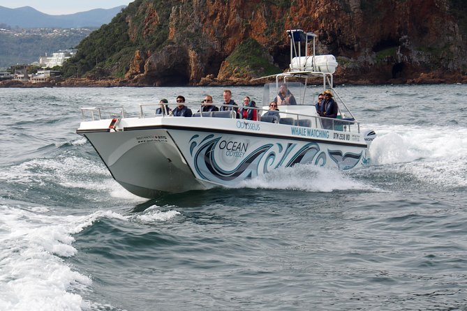 Whale Watching Knysna - Close Encounter Experience Ocean Odyssey - Sea conditions, cancellations, and planning