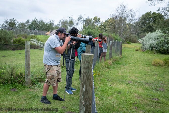 Wild Cat Experience Tour - Entering the enclosures without touching