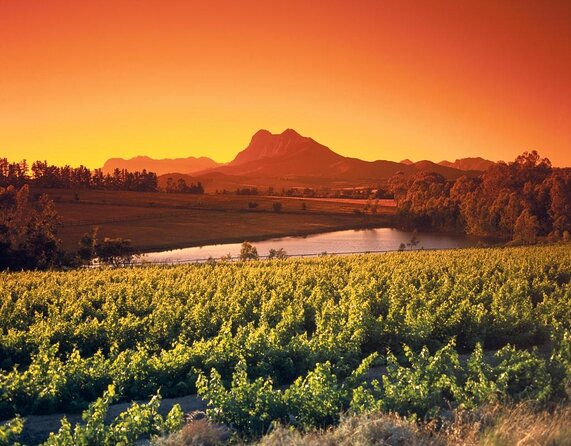 Wine Tour: Paarl, Franschhoek & Stellenbosch incl 3 wineries - Drakenstein Prison connects wine country with national history