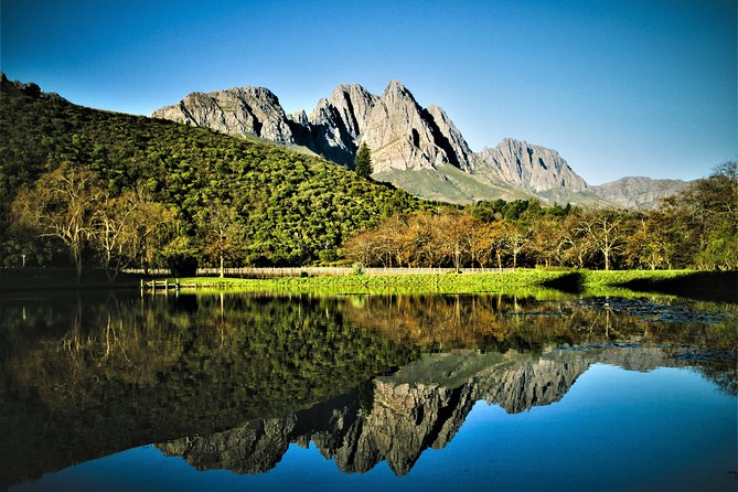 Wine Tour to Stellenbosch & Franschhoek with Tastings & Lunch - The guides make the long drives useful
